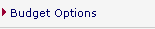 Budget Options