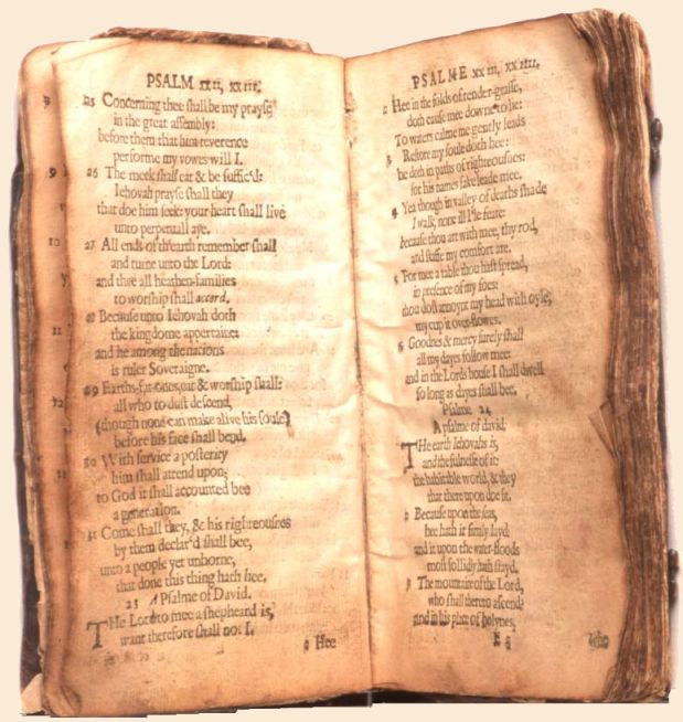 The Bay Psalm Book