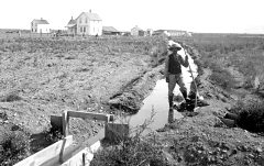 Irrigation ditch and white farmer, c. 1905