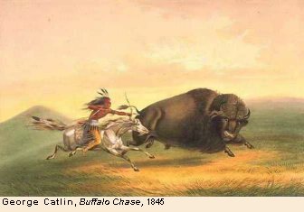 The Meaning of the Buffalo to Our People, by B The Change