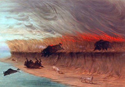 Prairie Meadows Burning, George Catlin