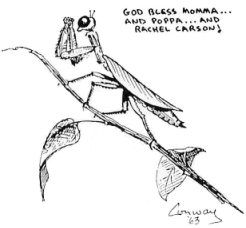 Praying mantis cartoon, 1963