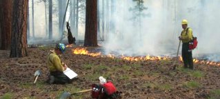 Firefighters on the North Rim, 2001