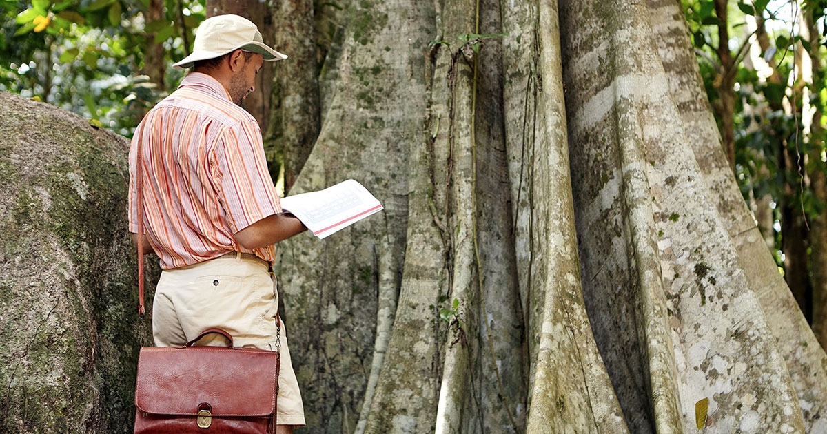 Beyond Beauty How National Parks Fight Land Degradation - a8cob84