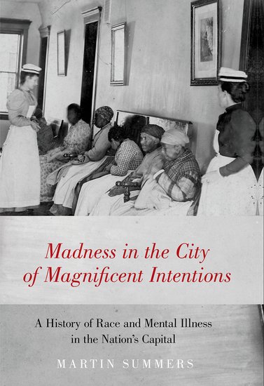 Madness in the City of Magnificent Intentions book cover