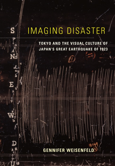 Earthquakes; Cultural History; Primary Sources; Collective Memory; Visual Arts