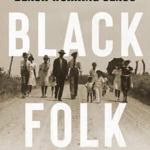Black Folk: The Roots of the Black Working Class by Blair LM Kelley