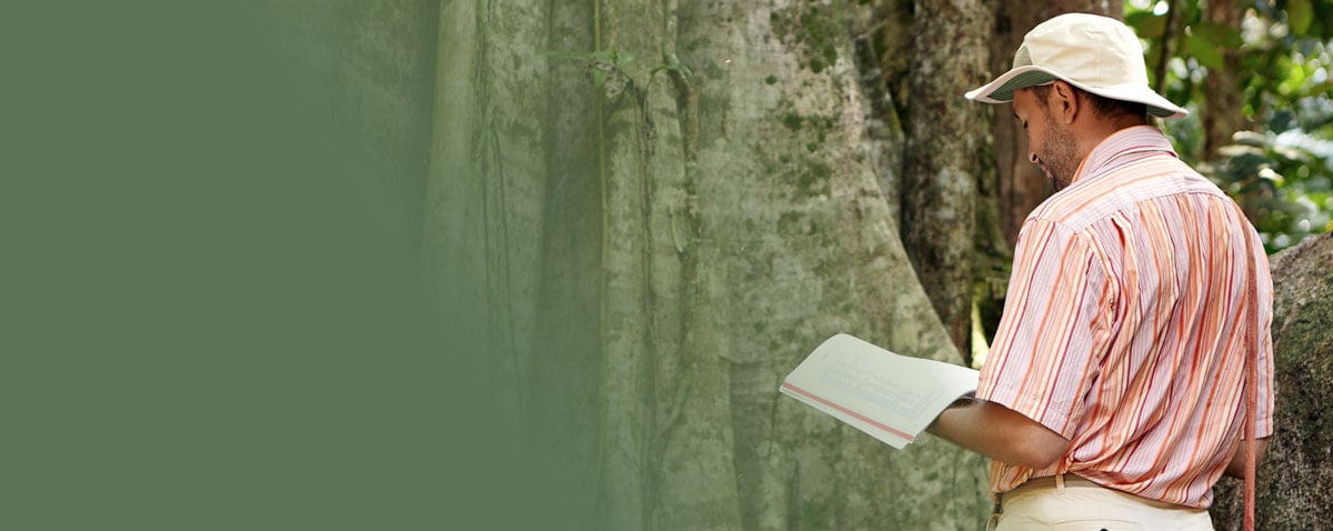 Reading Nature’s Poetry