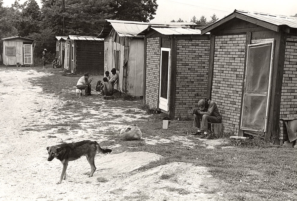 Involuntary Servitude; Storytelling; Antivaccination; Exploitation; Human Rights