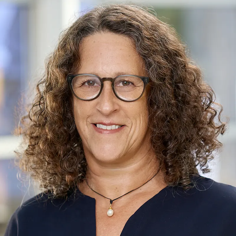 Rebecca L. Stein
